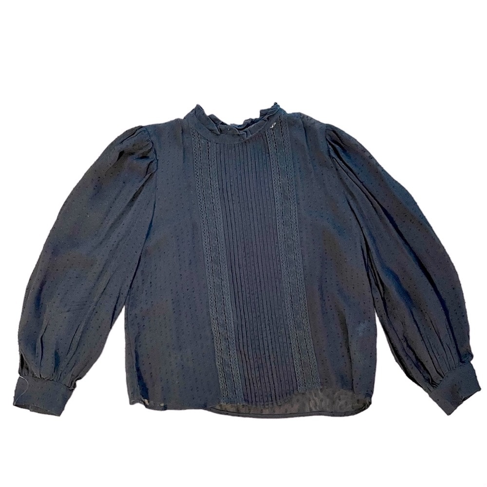 ZARA Sheer Lacy Puff Sleeve Peasant Blouse